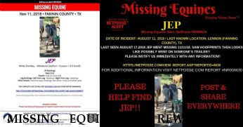 MISSING EQUINE Jep, REWARD  Near Leonard, TX, 75452
